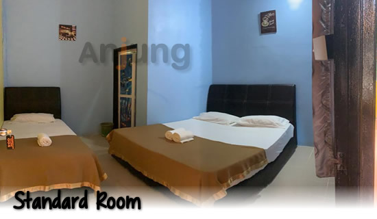 nemo perhentian family room
